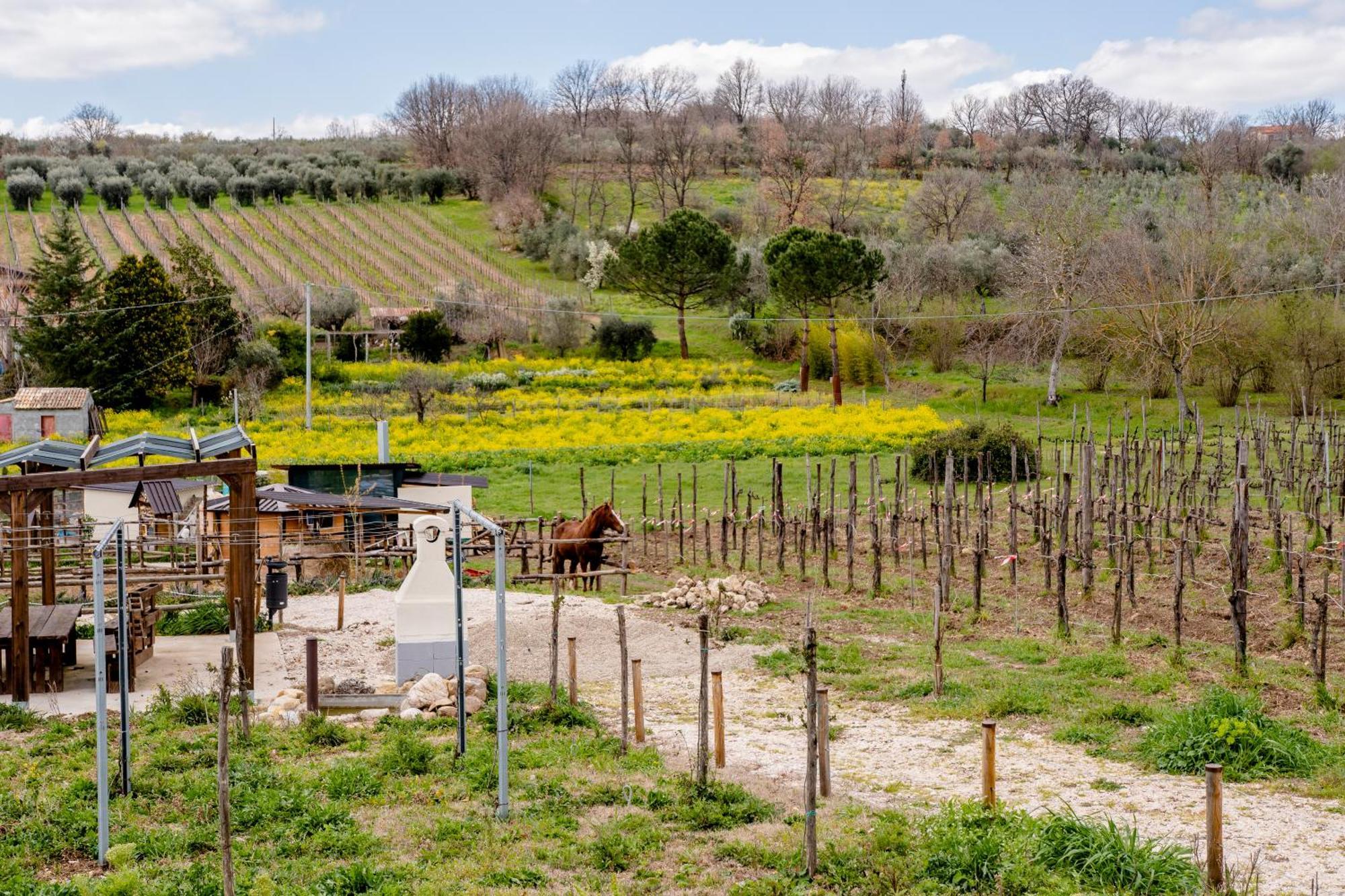 Il Poggio Degli Antichi Sapori Villa Paternopoli Exterior foto